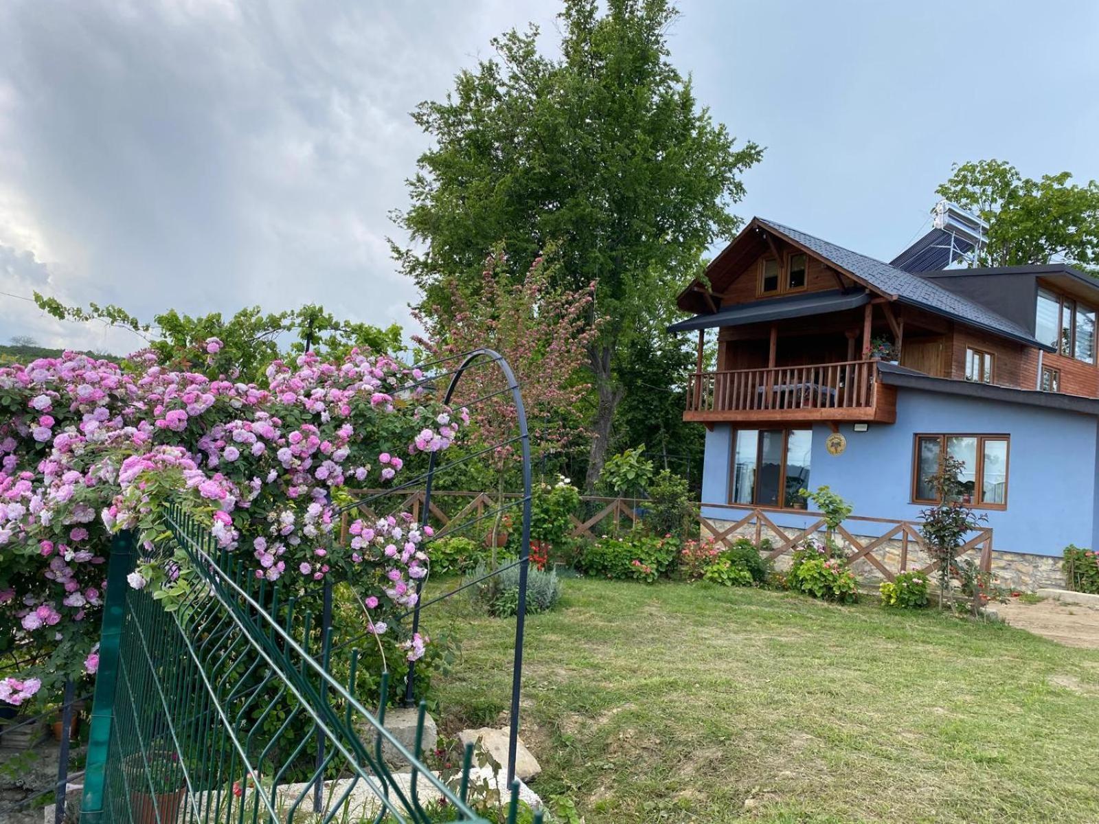 Isabella Kirsal Yasam Evi Villa Fatsa