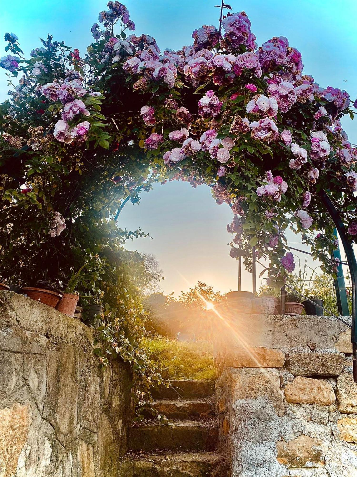 Isabella Kirsal Yasam Evi Fatsa